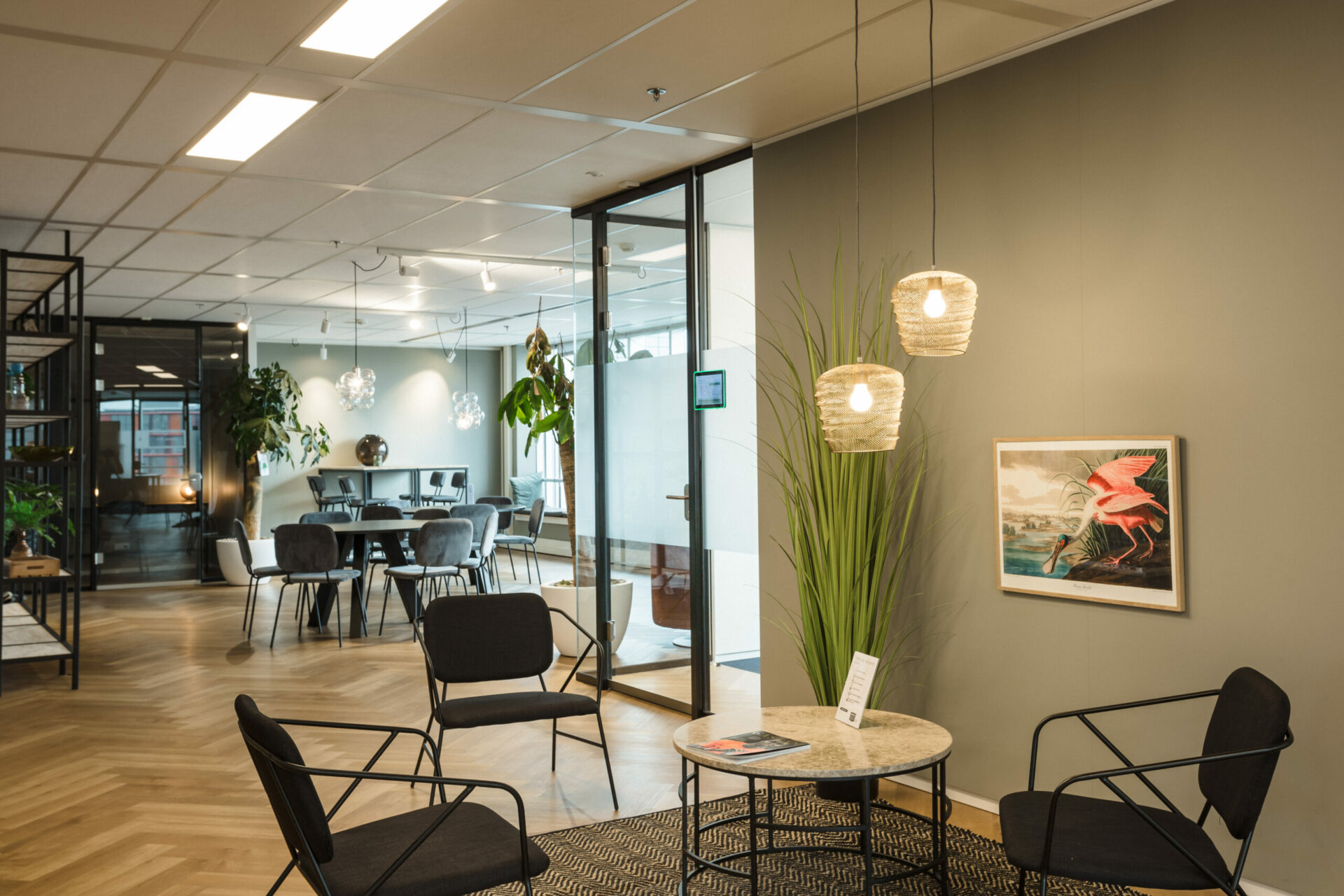 Startup kantoor Rotterdam